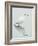 Great Egret Reflected-Arthur Morris-Framed Photographic Print