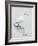 Great Egret Reflected-Arthur Morris-Framed Photographic Print