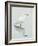 Great Egret Reflected-Arthur Morris-Framed Photographic Print