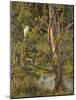 Great Egret, Tyto Wetlands, Ingham, Queensland, Australia, Pacific-Jochen Schlenker-Mounted Photographic Print