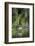 Great Egret-Gary Carter-Framed Photographic Print