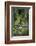 Great Egret-Gary Carter-Framed Photographic Print