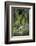 Great Egret-Gary Carter-Framed Photographic Print