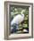 Great Egret-Max Hayslette-Framed Giclee Print