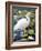 Great Egret-Max Hayslette-Framed Giclee Print