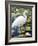 Great Egret-Max Hayslette-Framed Giclee Print