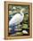 Great Egret-Max Hayslette-Framed Premier Image Canvas