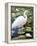 Great Egret-Max Hayslette-Framed Premier Image Canvas