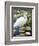 Great Egret-Max Hayslette-Framed Giclee Print