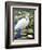 Great Egret-Max Hayslette-Framed Giclee Print