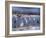 Great Egrets, and Grey Herons, on Frozen Lake, Pusztaszer, Hungary-Bence Mate-Framed Photographic Print