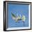 Great Egrets (Ardea Alba) Territorial Dispute Above Nest Colony-Juan Carlos Munoz-Framed Photographic Print