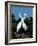 Great Egrets in a Courtship Ritual at Nest-Charles Sleicher-Framed Photographic Print