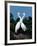 Great Egrets in a Courtship Ritual at Nest-Charles Sleicher-Framed Photographic Print