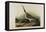 Great Esquimaux Curlew, 1835-John James Audubon-Framed Premier Image Canvas
