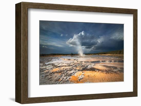 Great Fountain Geyser-Alan Majchrowicz-Framed Photographic Print