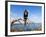 Great Frigate Bird (Frigata Minor), Isla Genovesa, Galapagos Islands, Ecuador-Christian Kober-Framed Photographic Print