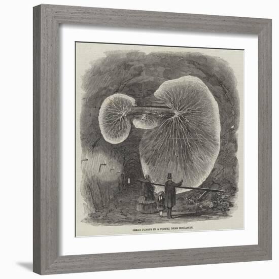 Great Fungus in a Tunnel Near Doncaster-null-Framed Giclee Print