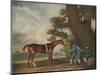 Great-Grandson of "Darley Arabian" Raced 1769-1770 in 18 Races All of Which He Won-George Stubbs-Mounted Photographic Print