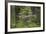 Great Grey Owl (Strix Nebulosa) in Flight in Boreal Forest, Northern Oulu, Finland, June 2008-Cairns-Framed Photographic Print