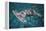 Great Hammerhead Shark-null-Framed Premier Image Canvas