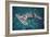 Great Hammerhead Shark-null-Framed Photographic Print