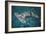 Great Hammerhead Shark-null-Framed Photographic Print