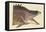 Great Hog Fish-Mark Catesby-Framed Stretched Canvas