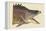 Great Hog Fish-Mark Catesby-Framed Stretched Canvas