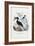 Great Hornbill, 1863-79-Raimundo Petraroja-Framed Giclee Print