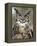 Great Horned Owl (Bubo Virginianus) in Captivity, Wasilla, Alaska, USA-James Hager-Framed Premier Image Canvas