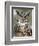 Great Horned Owl (Bubo Virginianus) in Captivity, Wasilla, Alaska, USA-James Hager-Framed Photographic Print