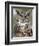 Great Horned Owl (Bubo Virginianus) in Captivity, Wasilla, Alaska, USA-James Hager-Framed Photographic Print