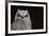 Great-horned Owl, Fledgling-Ken Archer-Framed Premium Photographic Print