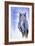 Great Horned Owl in Blue-Michelle Faber-Framed Giclee Print