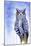Great Horned Owl in Blue-Michelle Faber-Mounted Giclee Print
