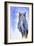 Great Horned Owl in Blue-Michelle Faber-Framed Giclee Print