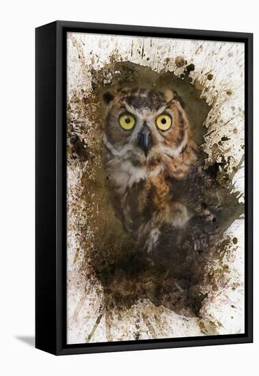 Great Horned Owl In The Cemetery-Jai Johnson-Framed Premier Image Canvas