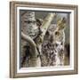 Great Horned Owl Pale From, British Columbia, Canada-Tim Fitzharris-Framed Photographic Print