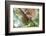 Great horned owl perched on branch, Texas, USA-Karine Aigner-Framed Photographic Print