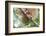 Great horned owl perched on branch, Texas, USA-Karine Aigner-Framed Photographic Print