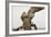 Great Horned Owl, Sonora Desert , Tucson, Arizona, Usa-Chuck Haney-Framed Photographic Print