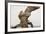 Great Horned Owl, Sonora Desert , Tucson, Arizona, Usa-Chuck Haney-Framed Photographic Print