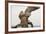 Great Horned Owl, Sonora Desert , Tucson, Arizona, Usa-Chuck Haney-Framed Photographic Print