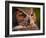 Great Horned Owl-Adam Jones-Framed Photographic Print