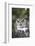 Great Horned Owl-Lynn M^ Stone-Framed Photographic Print