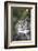 Great Horned Owl-Lynn M^ Stone-Framed Photographic Print