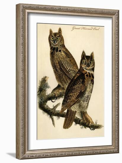 Great Horned Owl-John James Audubon-Framed Art Print