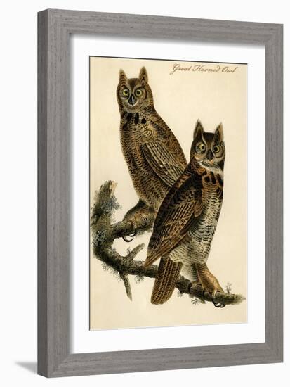 Great Horned Owl-John James Audubon-Framed Art Print