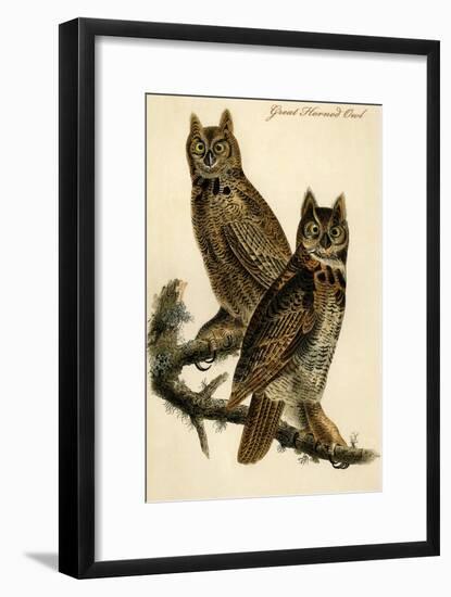 Great Horned Owl-John James Audubon-Framed Art Print